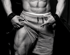 Vastus Lateralis