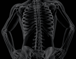 Bruised Ribs | Broken Ribs - Causes, Symptoms, Treatment and Prevention