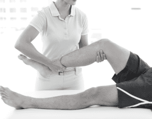 Vastus Lateralis